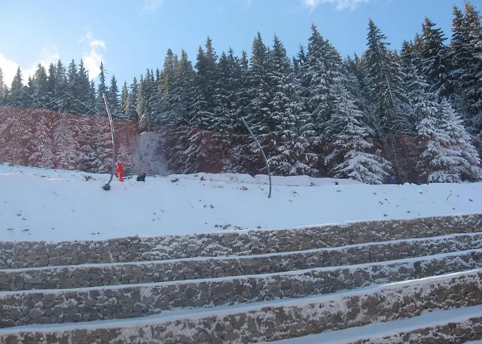 Grand Monastery 3* Pamporovo