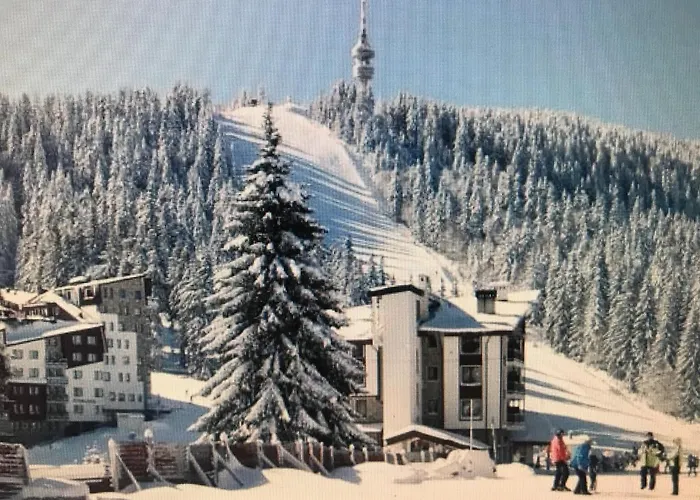 Grand Monastery 아파트호텔